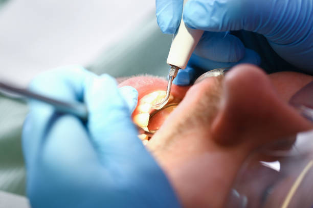Best Emergency Orthodontic Repairs in Glenvar Heights, FL